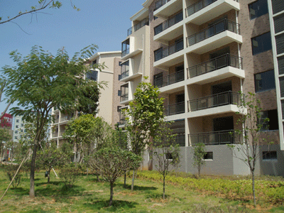 上饒房地產(chǎn)