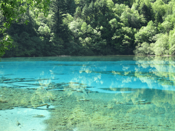 上饒房地產(chǎn)