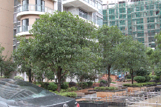 上饒房地產(chǎn)